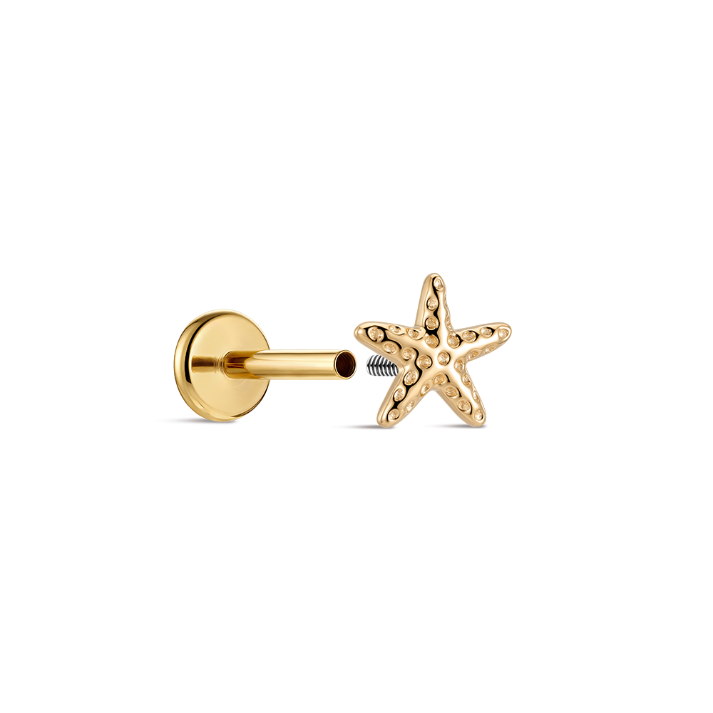 CANNER Pendiente de Estrella d - Tragus Flat Back reseña y precio